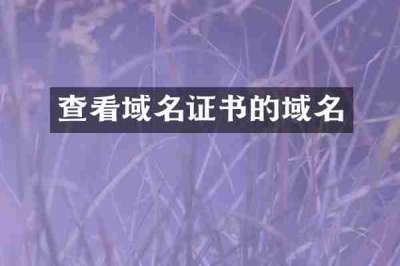 查看域名证书的域名