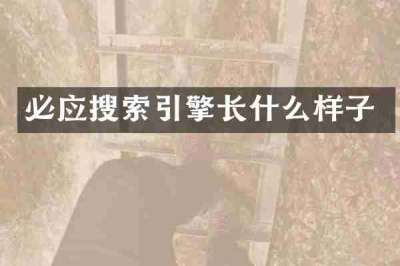 必应搜索引擎长什么样子