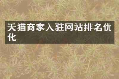 天猫商家入驻网站排名优化