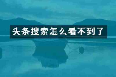 头条搜索怎么看不到了