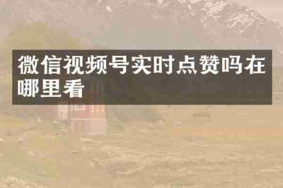 微信视频号实时点赞吗在哪里看
