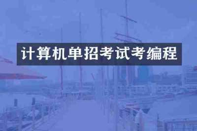 计算机单招考试考编程