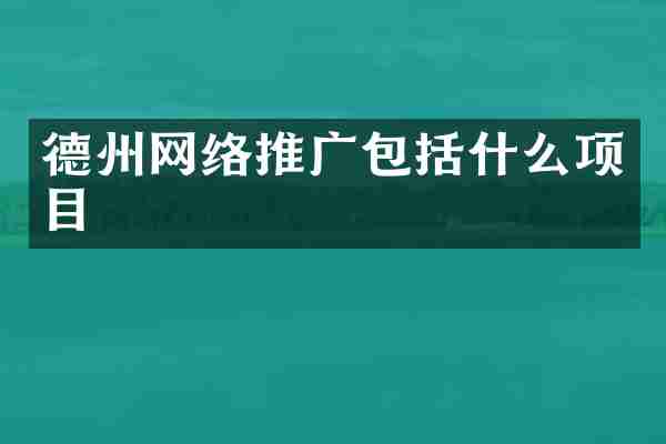 德州网络推广包括什么项目