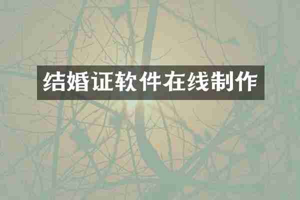 结婚证软件在线制作