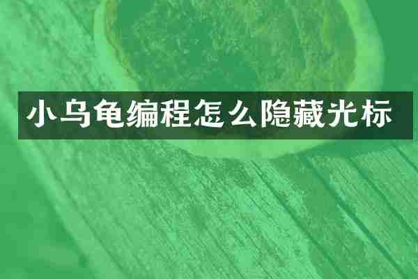 小乌龟编程怎么隐藏光标