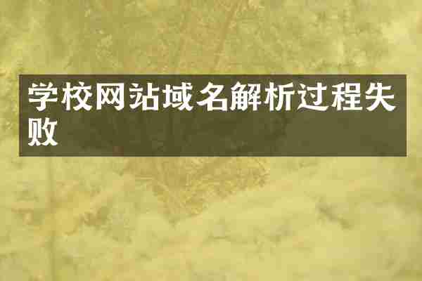 学校网站域名解析过程失败
