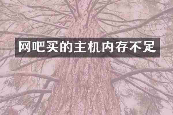 网吧买的主机内存不足