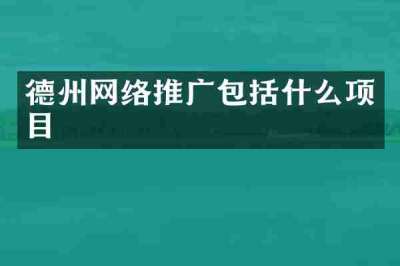 德州网络推广包括什么项目