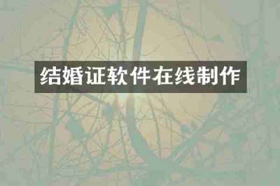 结婚证软件在线制作