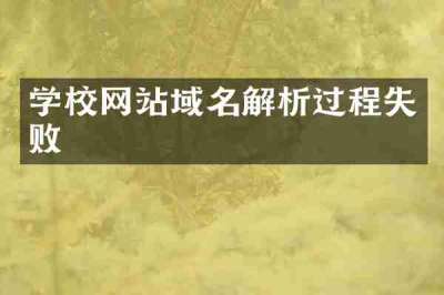 学校网站域名解析过程失败