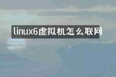 linux6虚拟机怎么联网