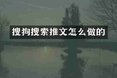 搜狗搜索推文怎么做的