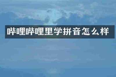 哔哩哔哩里学拼音怎么样