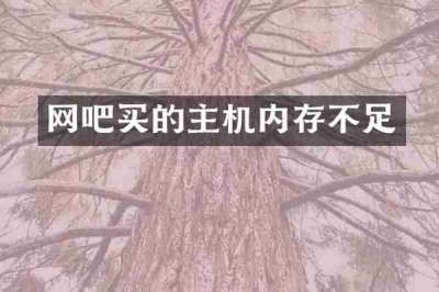 网吧买的主机内存不足