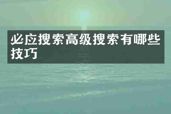 必应搜索高级搜索有哪些技巧