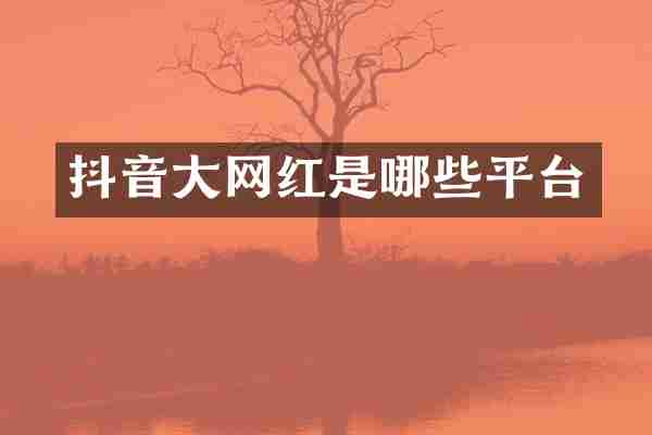 抖音大网红是哪些平台