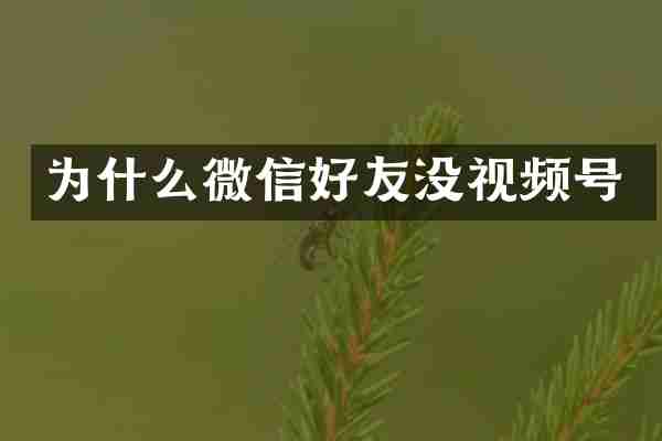 为什么微信好友没视频号