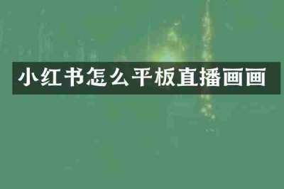 小红书怎么平板直播画画