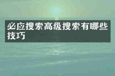 必应搜索高级搜索有哪些技巧