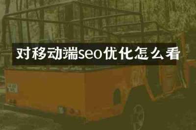 对移动端seo优化怎么看