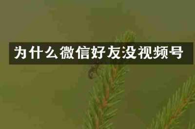 为什么微信好友没视频号