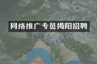 网络推广专员揭阳招聘