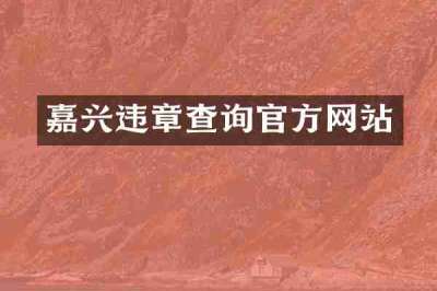 嘉兴违章查询官方网站