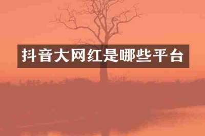 抖音大网红是哪些平台