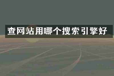 查网站用哪个搜索引擎好