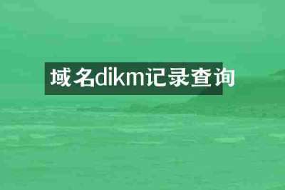 域名dikm记录查询