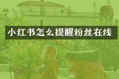 小红书怎么提醒粉丝在线