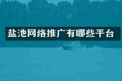 盐池网络推广有哪些平台