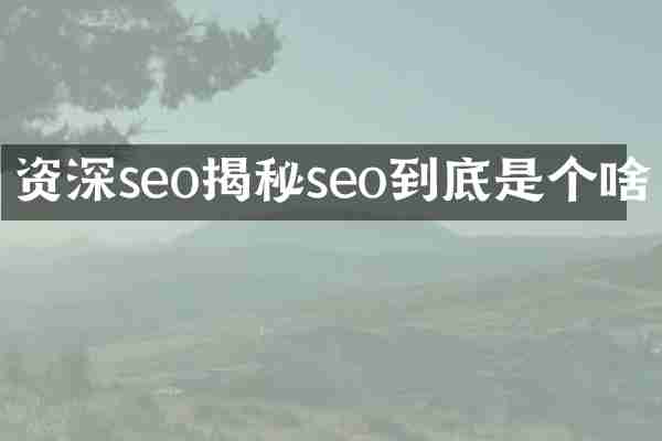 资深seo揭秘seo到底是个啥