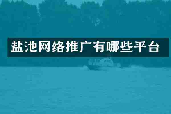 盐池网络推广有哪些平台