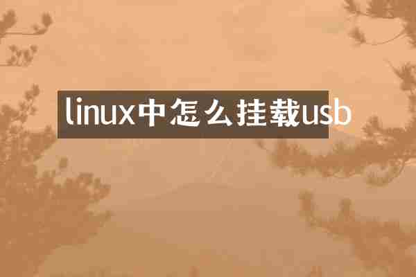 linux中怎么挂载usb