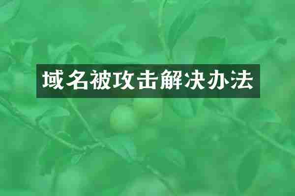 域名被攻击解决办法