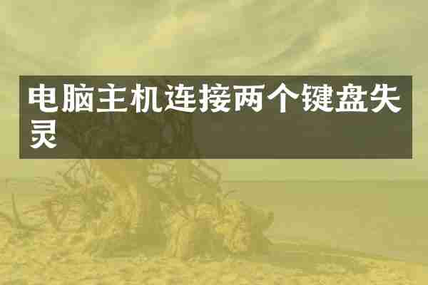电脑主机连接两个键盘失灵