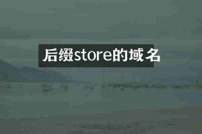 后缀store的域名