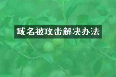 域名被攻击解决办法
