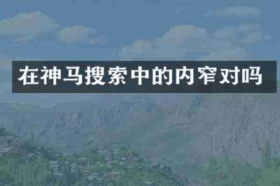 在神马搜索中的内窄对吗