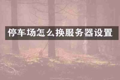 停车场怎么换服务器设置