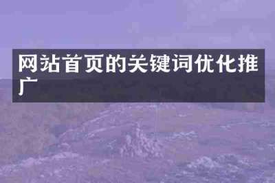 网站首页的关键词优化推广