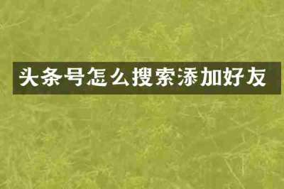 头条号怎么搜索添加好友