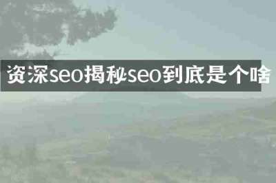 资深seo揭秘seo到底是个啥