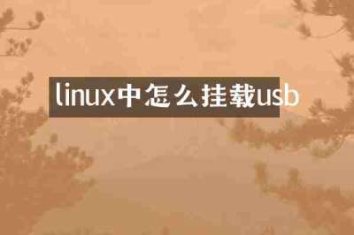 linux中怎么挂载usb