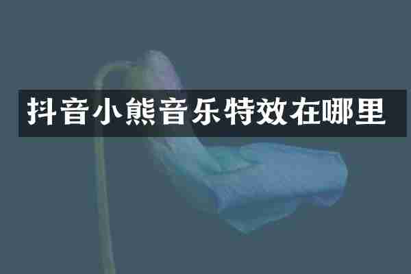 抖音小熊音乐特效在哪里