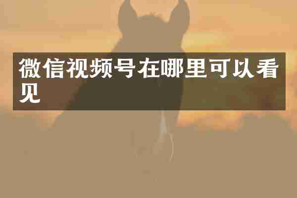 微信视频号在哪里可以看见
