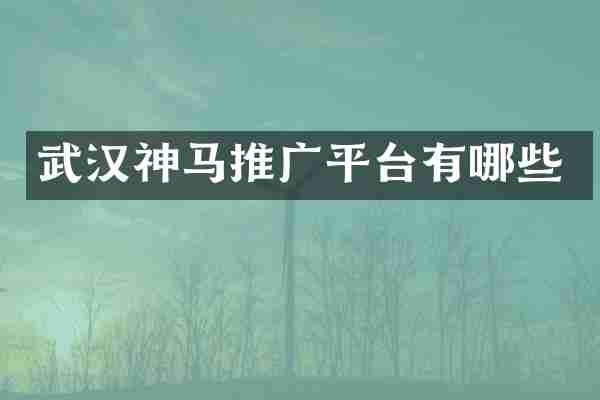 武汉神马推广平台有哪些