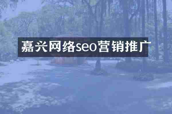 嘉兴网络seo营销推广