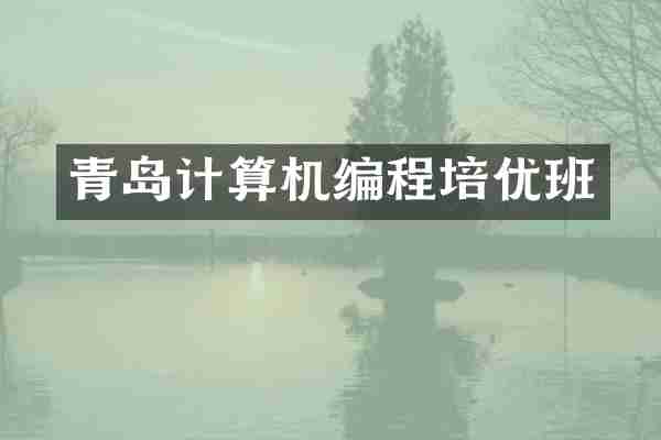 青岛计算机编程培优班